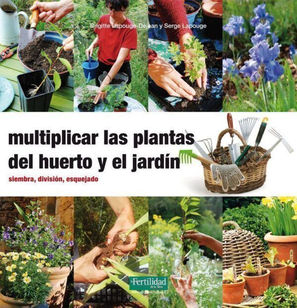 Multiplicar las plantas del huerto y el jardín. Siembra, división, esquejando.