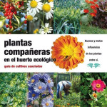 Plantas compañeras en el huerto ecológico. Guía de cultivos asociados.