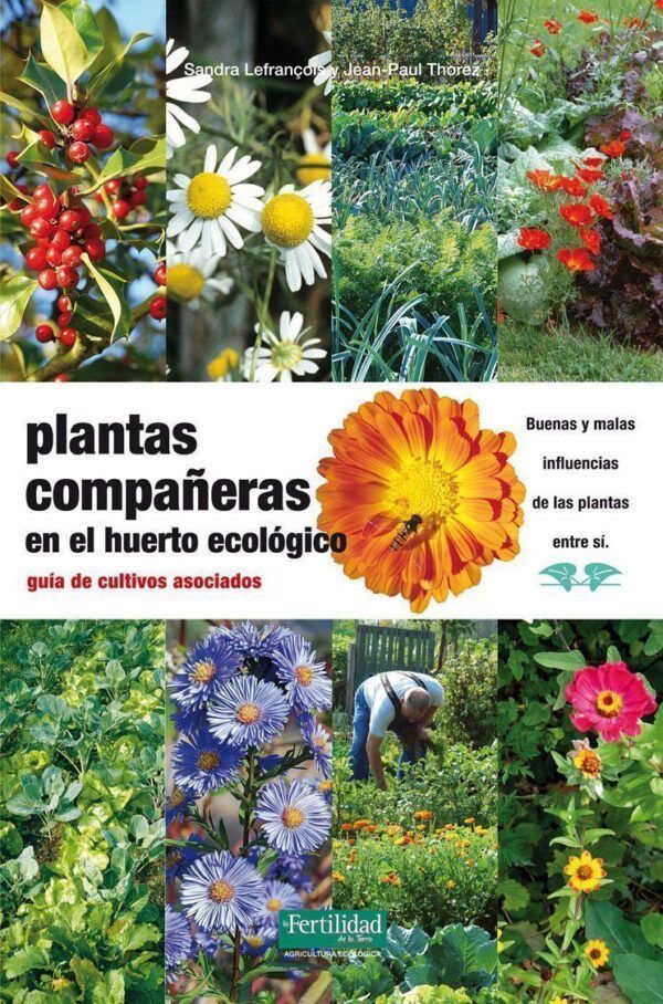 Plantas compañeras en el huerto ecológico. Guía de cultivos asociados.